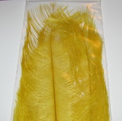 Ostridge  plumes  INTRUDER �����   ������� ����� 